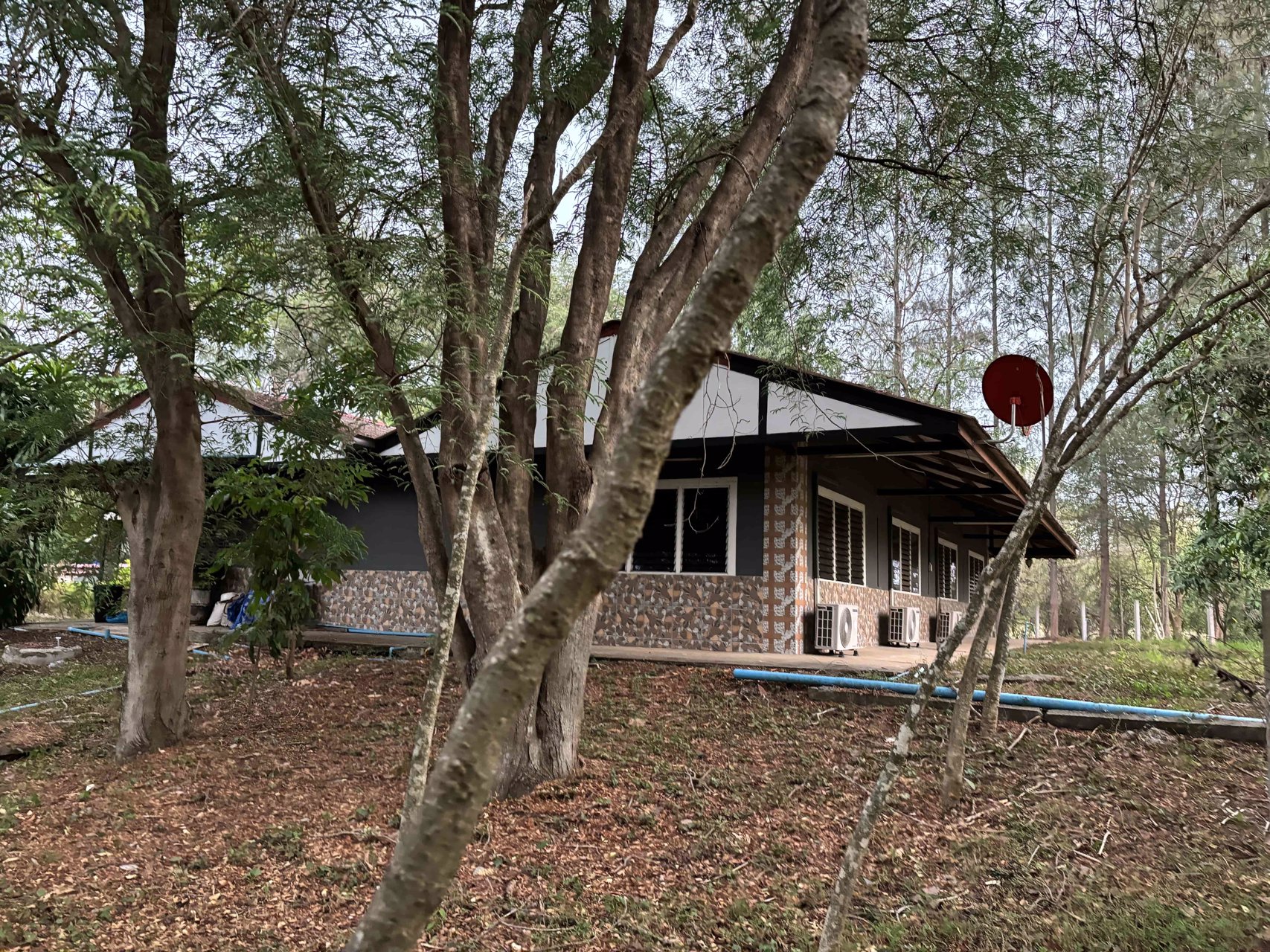 ขายบ้านสวนพร้อมที่ดิน-ใกล้เขื่อนลำตะคอง-บรรยากาศดีเยี่ยม-เหมือนอยู่ต่างประเทศ