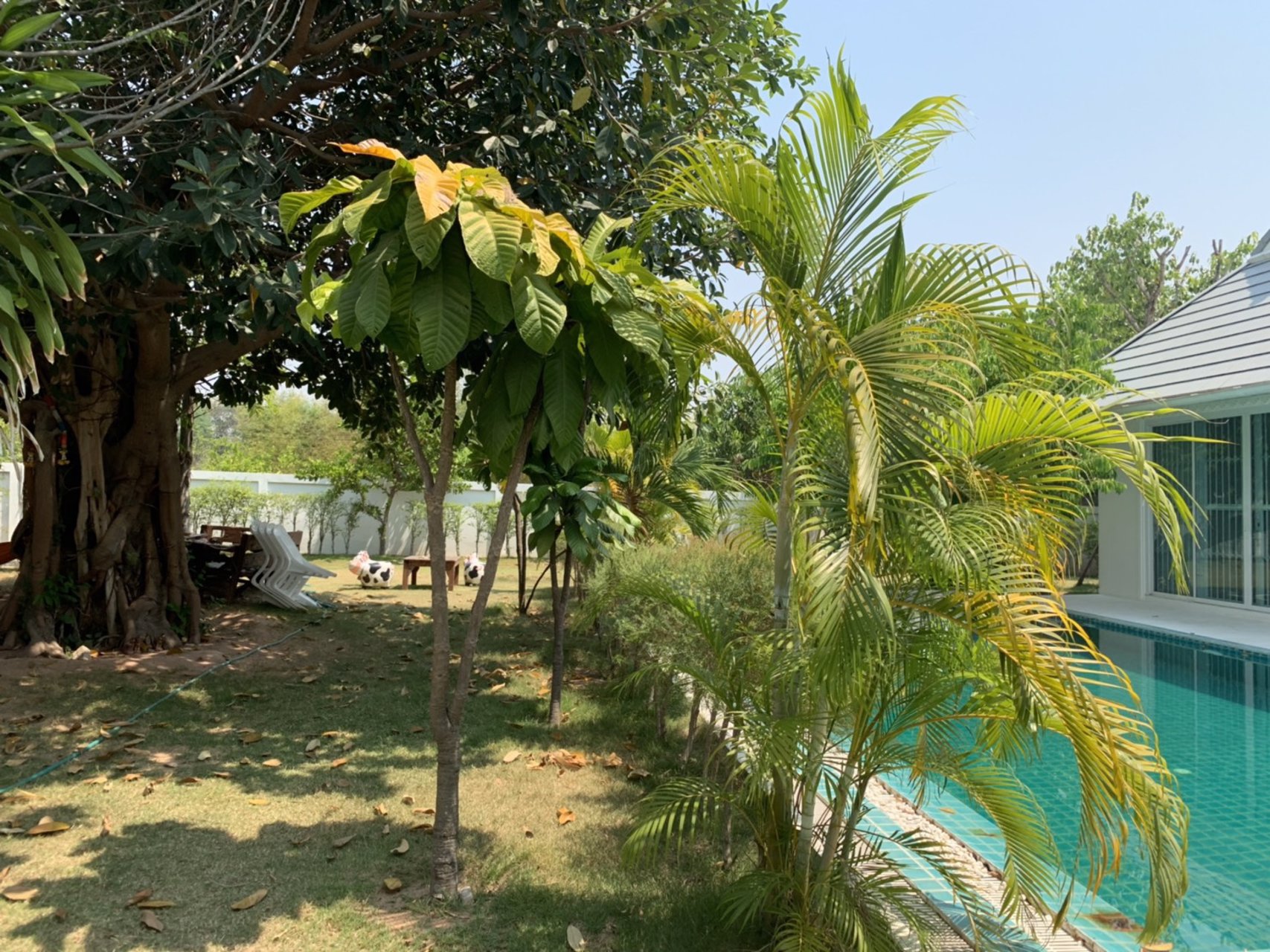 ขายบ้านหรูชั้นเดี่ยวพร้อมสระว่ายน้ำ-บรรยากาศดี-อโกสุมพิสัย-จมหาสารคาม