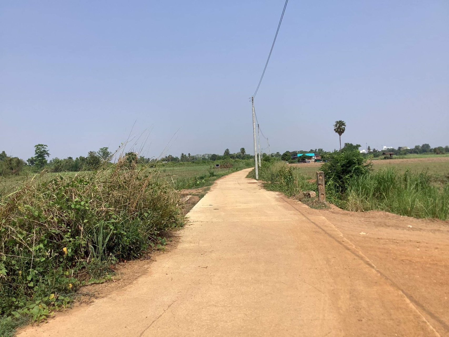 ขายที่ดิน-เนื้อที่-6-2-30ไร่-ติดถนนคอนกรีต