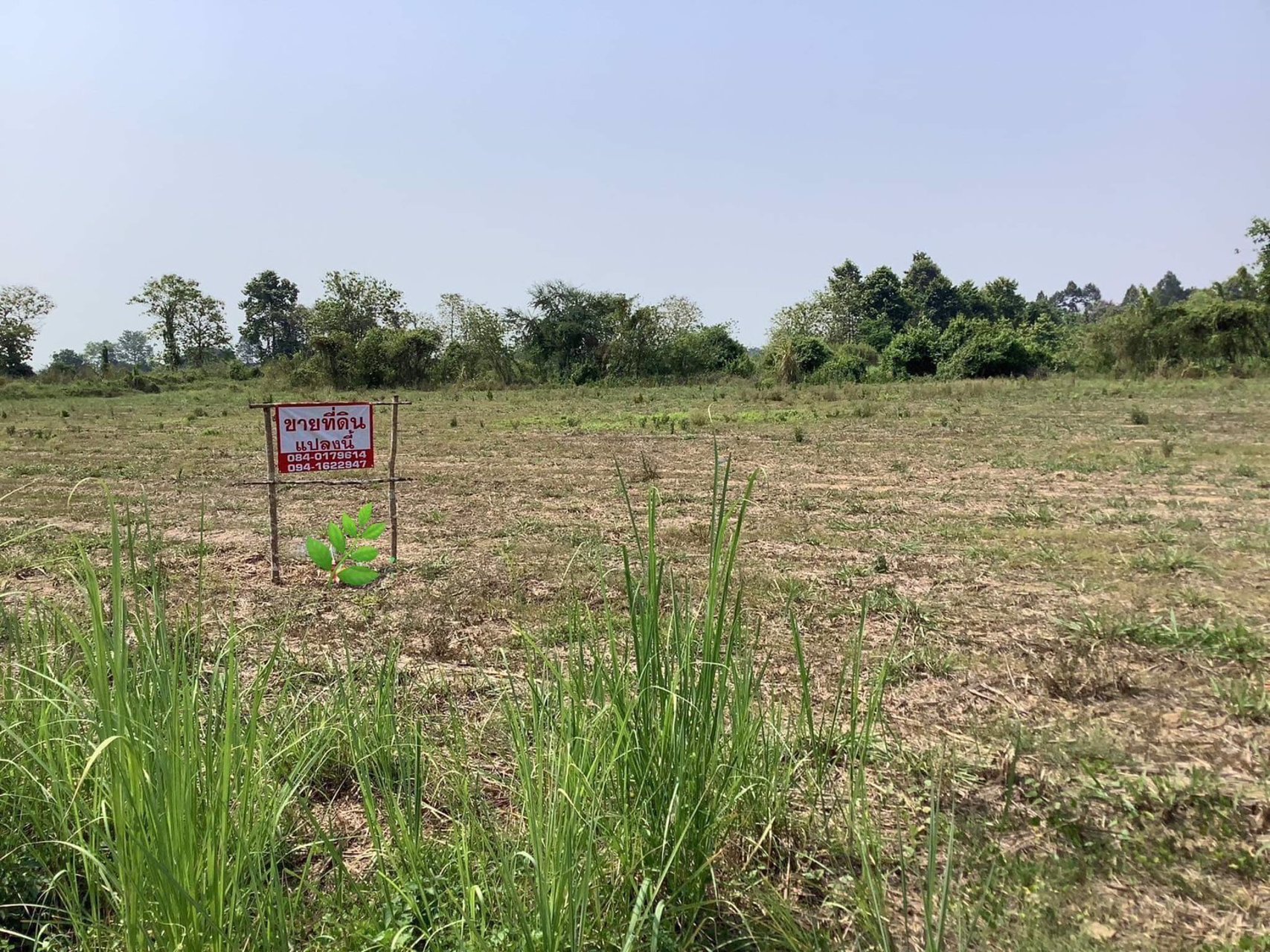 ขายที่ดิน-เนื้อที่-6-2-30ไร่-ติดถนนคอนกรีต