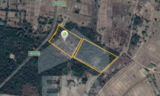 era88516-ขายด่วน-ที่ดินเปล่าติดถนนสายหลัก-35-0-84-ไร่-อวานรนิวาส-จสกลนคร