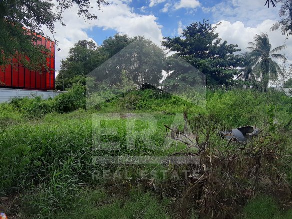 era-ขายด่วน-ที่ดิน-100-ตรว-หมู่บ้านปิ่นทองแลนด์-แฟคตอรี่-อบางบัวทอง-จนนทบุรี