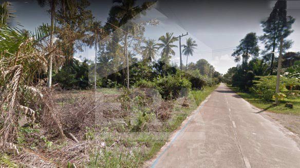 era-ขายด่วน-ที่ดินเปล่า-83-1-962-ไร่-อเมือง-จชุมพร