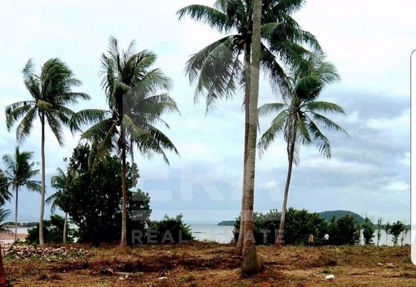 era-ขาย-ที่ดินหาดผาแดง-เนื้อที่กว่า-4-1-47-ไร่-ถ4098-อเมืองชุมพร