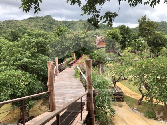 era85831-ขายด่วน-บ้านเดี่ยว-2-ชั้น-เนื้อที่-3-2-42-ไร่-อปากช่อง-จนครราชสีมา