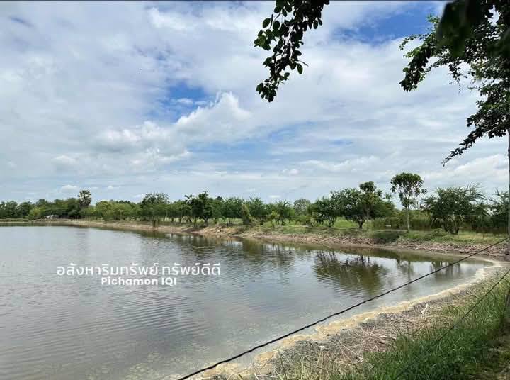 ขายด่วน-ที่ดิน-พร้อมบ้าน-บ่อปลา-