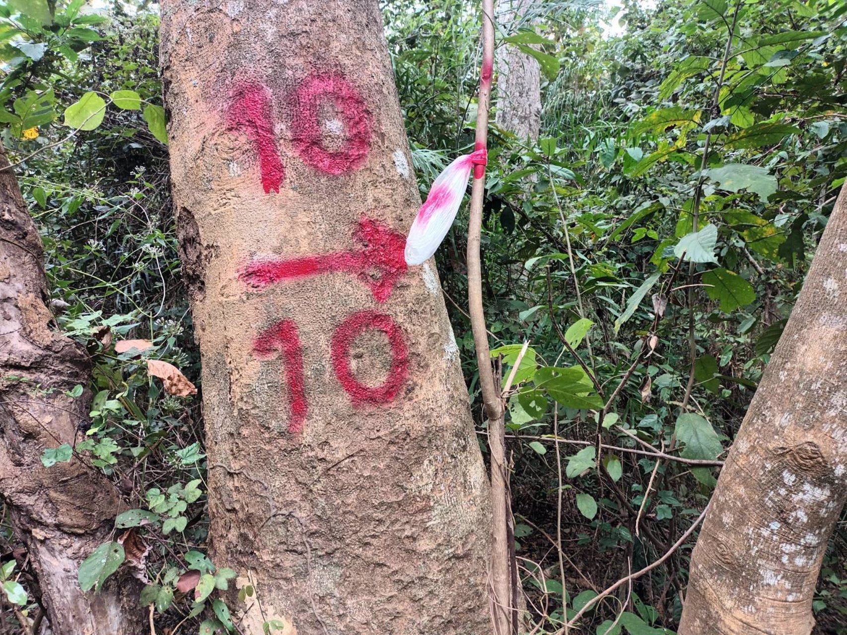 ขายที่ดิน-อโป่งน้ำร้อน-จจันทบุรี-ไร่ละ-176000-บาท