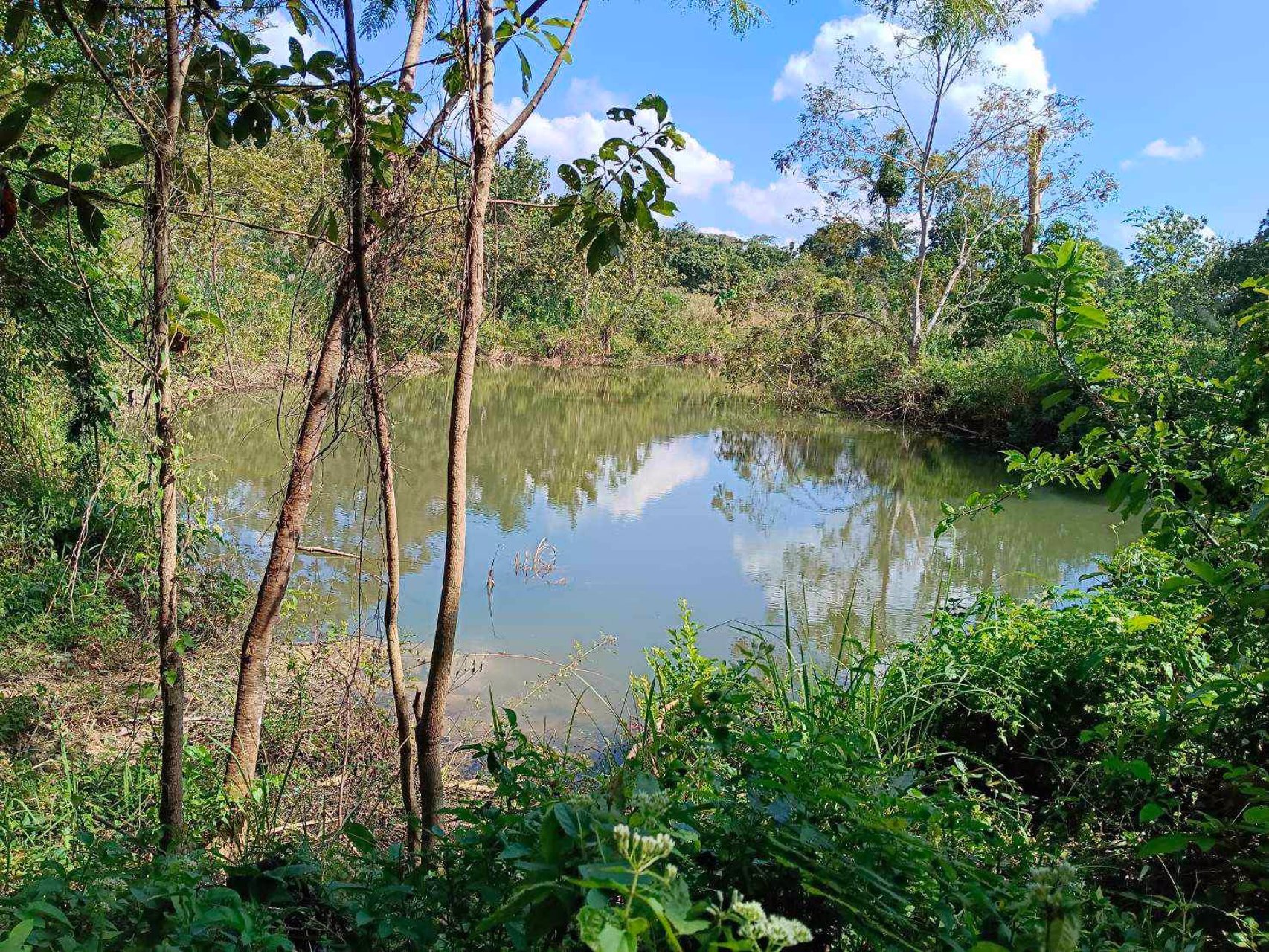 ขายที่ดิน-อโป่งน้ำร้อน-จจันทบุรี-ไร่ละ-176000-บาท