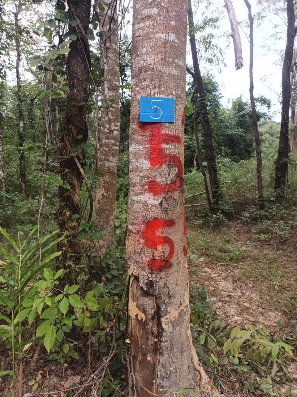 ขายที่ดิน-อโป่งน้ำร้อน-จจันทบุรี-ไร่ละ-176000-บาท