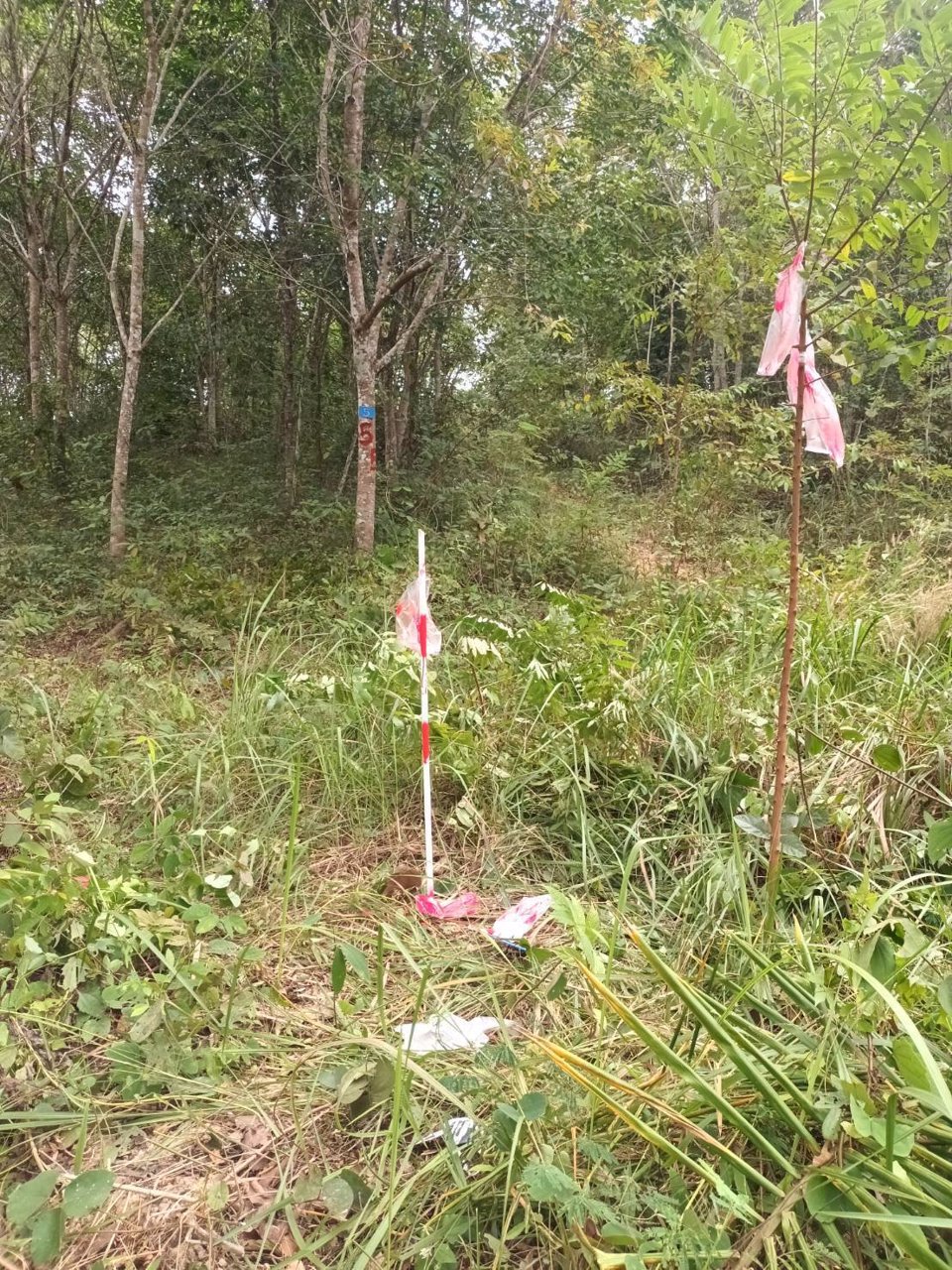 ขายที่ดิน-อโป่งน้ำร้อน-จจันทบุรี-ไร่ละ-176000-บาท