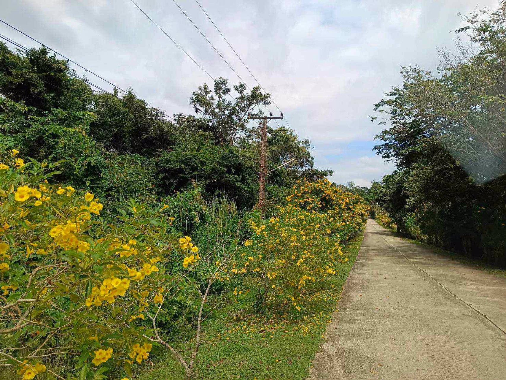 ขายที่ดิน-อโป่งน้ำร้อน-จจันทบุรี-ไร่ละ-176000-บาท