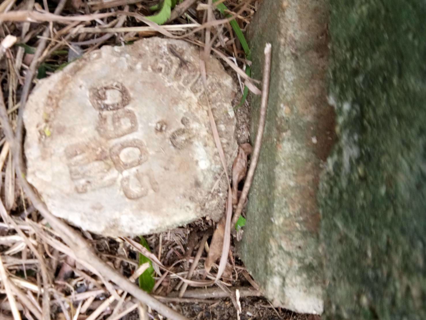 ขายที่ดินเปล่า-2-ไร่-อนาคตดีมีรถไฟความเร็วสูงผ่าน-เมือง-ลำพูน