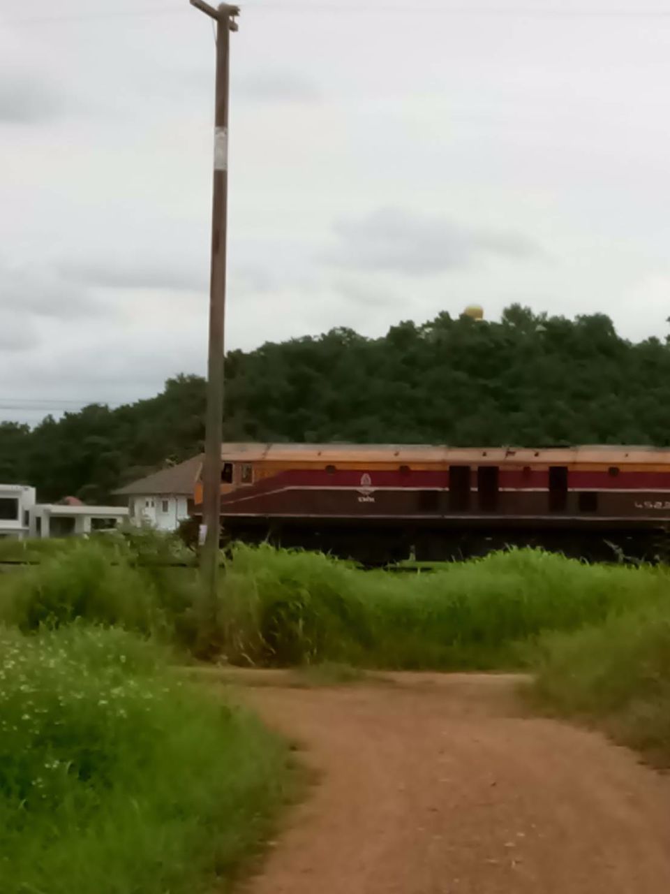 ขายที่ดินเปล่า-2-ไร่-อนาคตดีมีรถไฟความเร็วสูงผ่าน-เมือง-ลำพูน