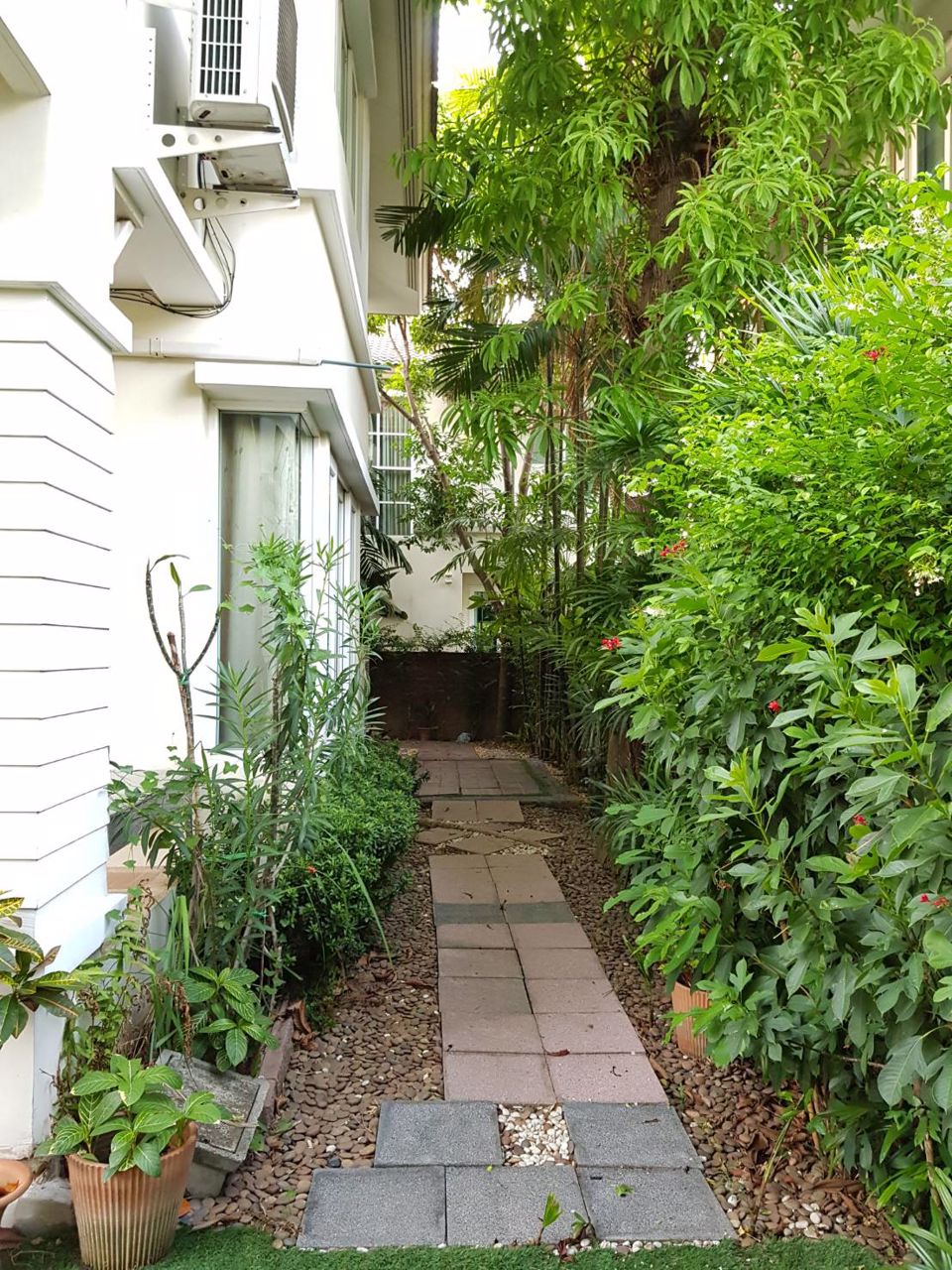 ขายบ้านด่วน-เจ้าของขายเอง-หมู่บ้านคาซ่าแกรนด์-ราชพฤกษ์-รัตนาธิเบศร์-บรรยากาศดีใกล้รถไฟฟ้าสายสีม่วงส