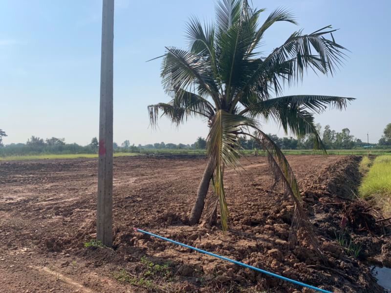 ขายที่ดิน-ถมแล้ว-คลอง-11-ราคาไม่แพง-ที่สวยมาก-เจ้าของขายเอง-หนองเสือ-ปทุมธานี