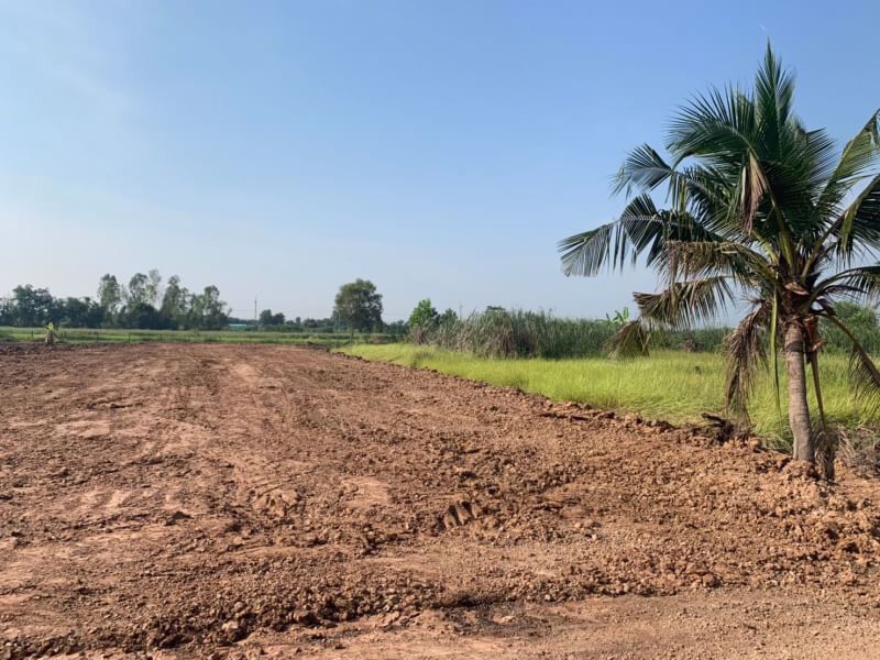 ขายที่ดิน-ถมแล้ว-คลอง-11-ราคาไม่แพง-ที่สวยมาก-เจ้าของขายเอง-หนองเสือ-ปทุมธานี