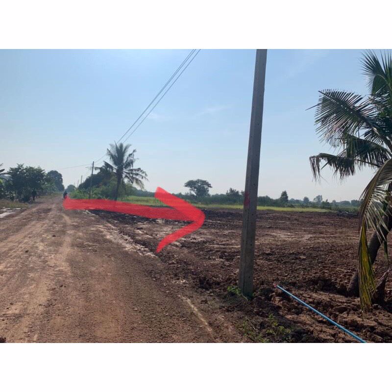 ขายที่ดิน-ถมแล้ว-คลอง-11-ราคาไม่แพง-ที่สวยมาก-เจ้าของขายเอง-หนองเสือ-ปทุมธานี