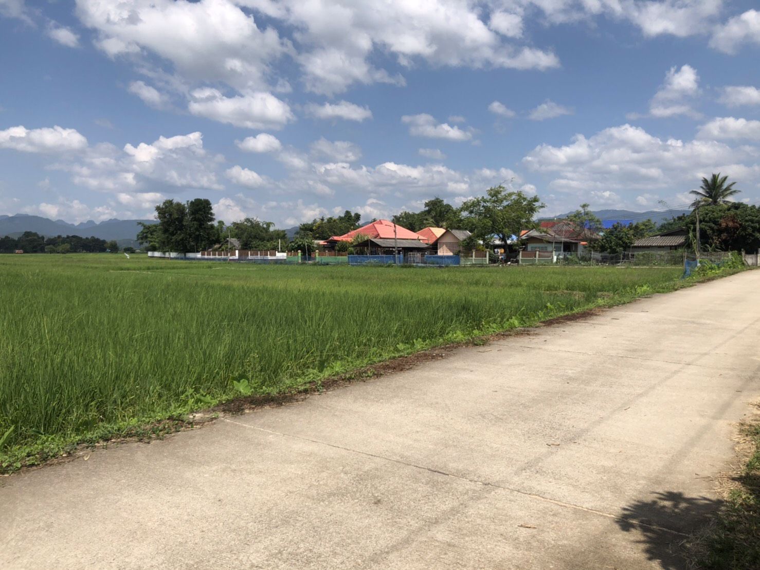 ขายที่ดินเปล่า-ห่างจากตัวอำเภอพร้าว-3-กิโลเมตร-เชียงใหม่