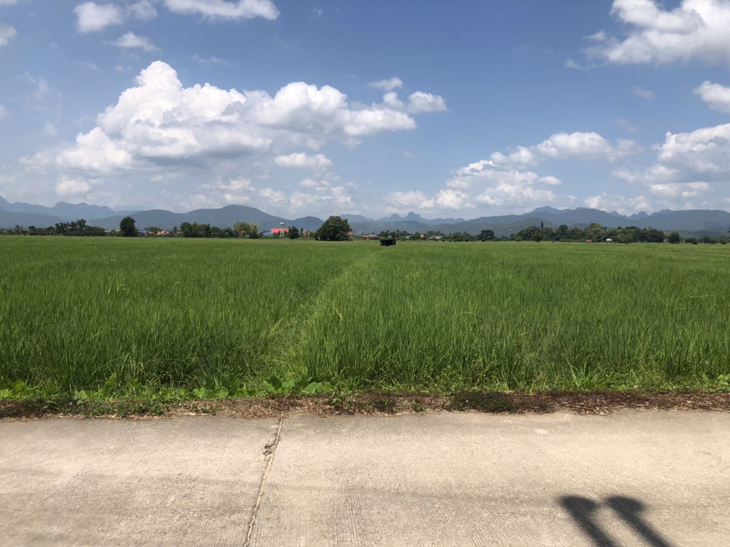 ขายที่ดินเปล่า-ห่างจากตัวอำเภอพร้าว-3-กิโลเมตร-เชียงใหม่