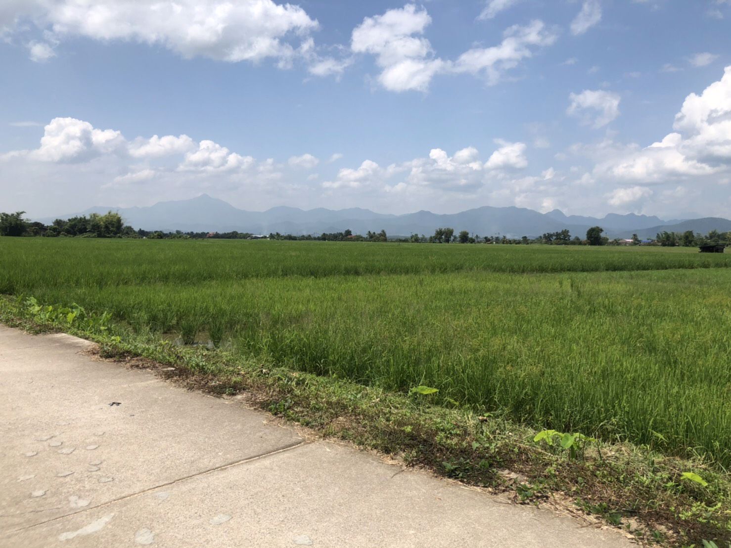 ขายที่ดินเปล่า-ห่างจากตัวอำเภอพร้าว-3-กิโลเมตร-เชียงใหม่