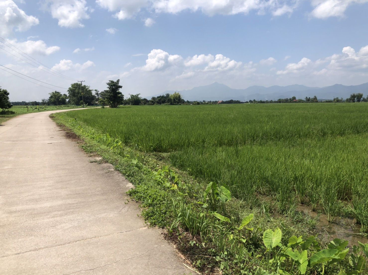 ขายที่ดินเปล่า-ห่างจากตัวอำเภอพร้าว-3-กิโลเมตร-เชียงใหม่