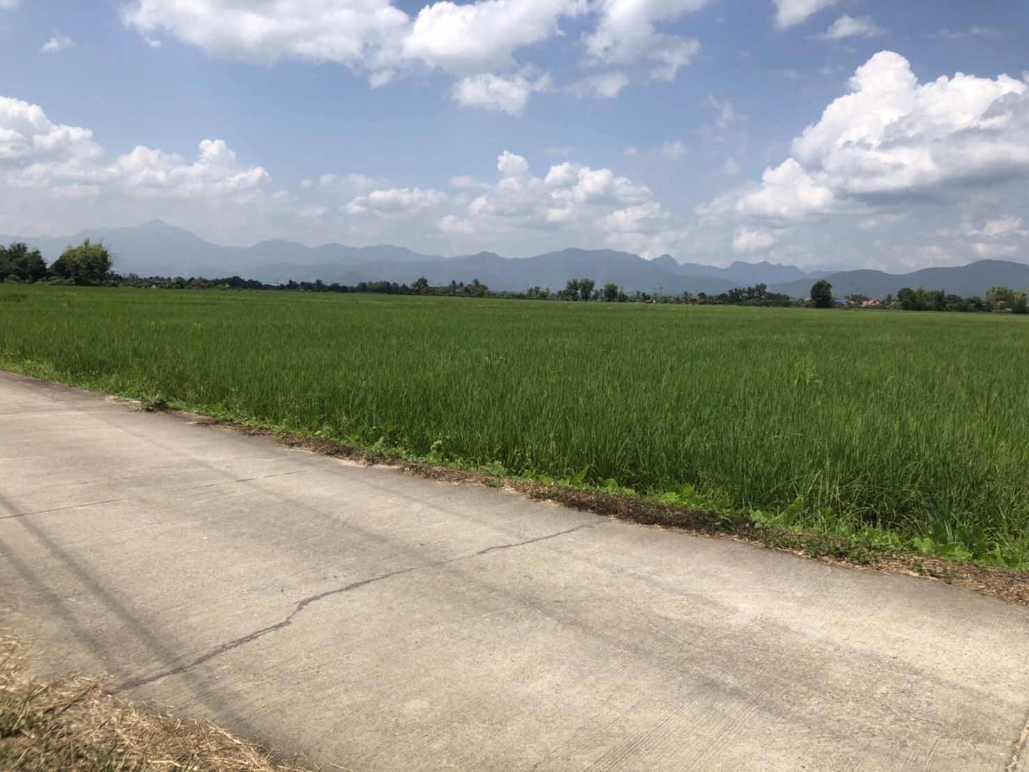 ขายที่ดินเปล่า-ห่างจากตัวอำเภอพร้าว-3-กิโลเมตร-เชียงใหม่