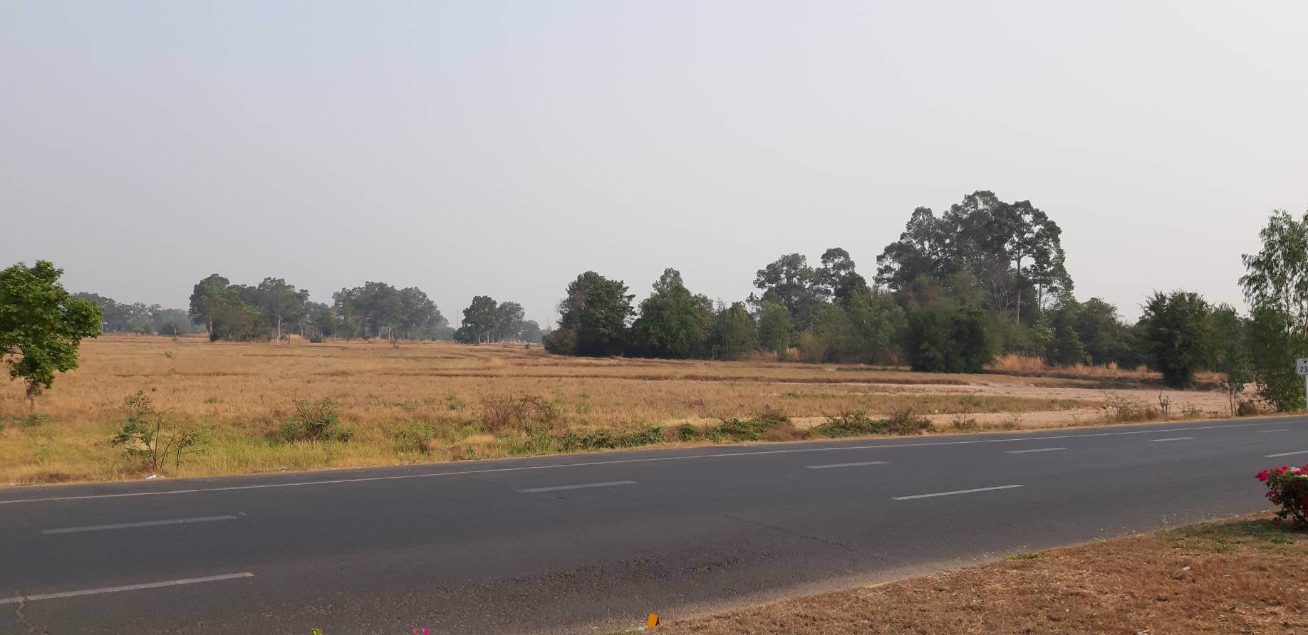 ขายที่ดิน-ติดถนนใหญ่-54-ไร่-1-งาน-61-ตรว-จังหาร-ร้อยเอ็ด