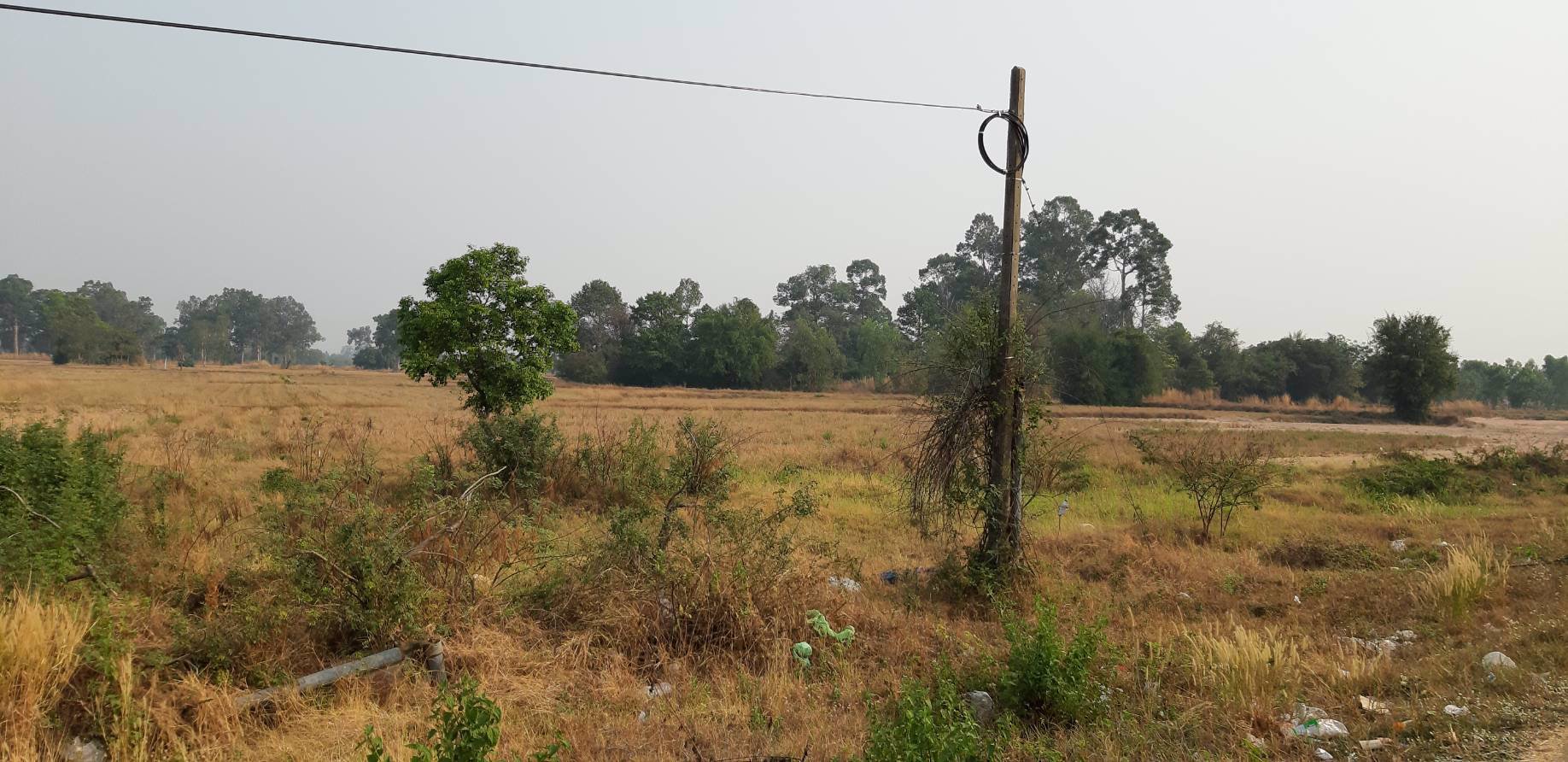 ขายที่ดิน-ติดถนนใหญ่-54-ไร่-1-งาน-61-ตรว-จังหาร-ร้อยเอ็ด