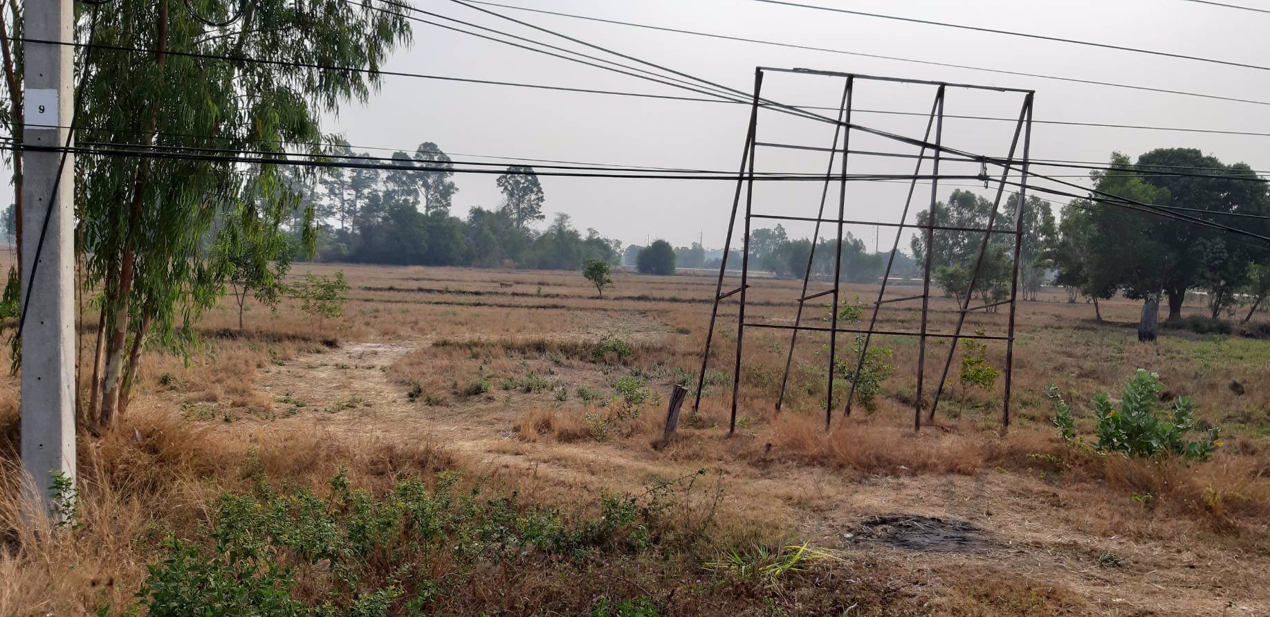 ขายที่ดิน-ติดถนนใหญ่-54-ไร่-1-งาน-61-ตรว-จังหาร-ร้อยเอ็ด