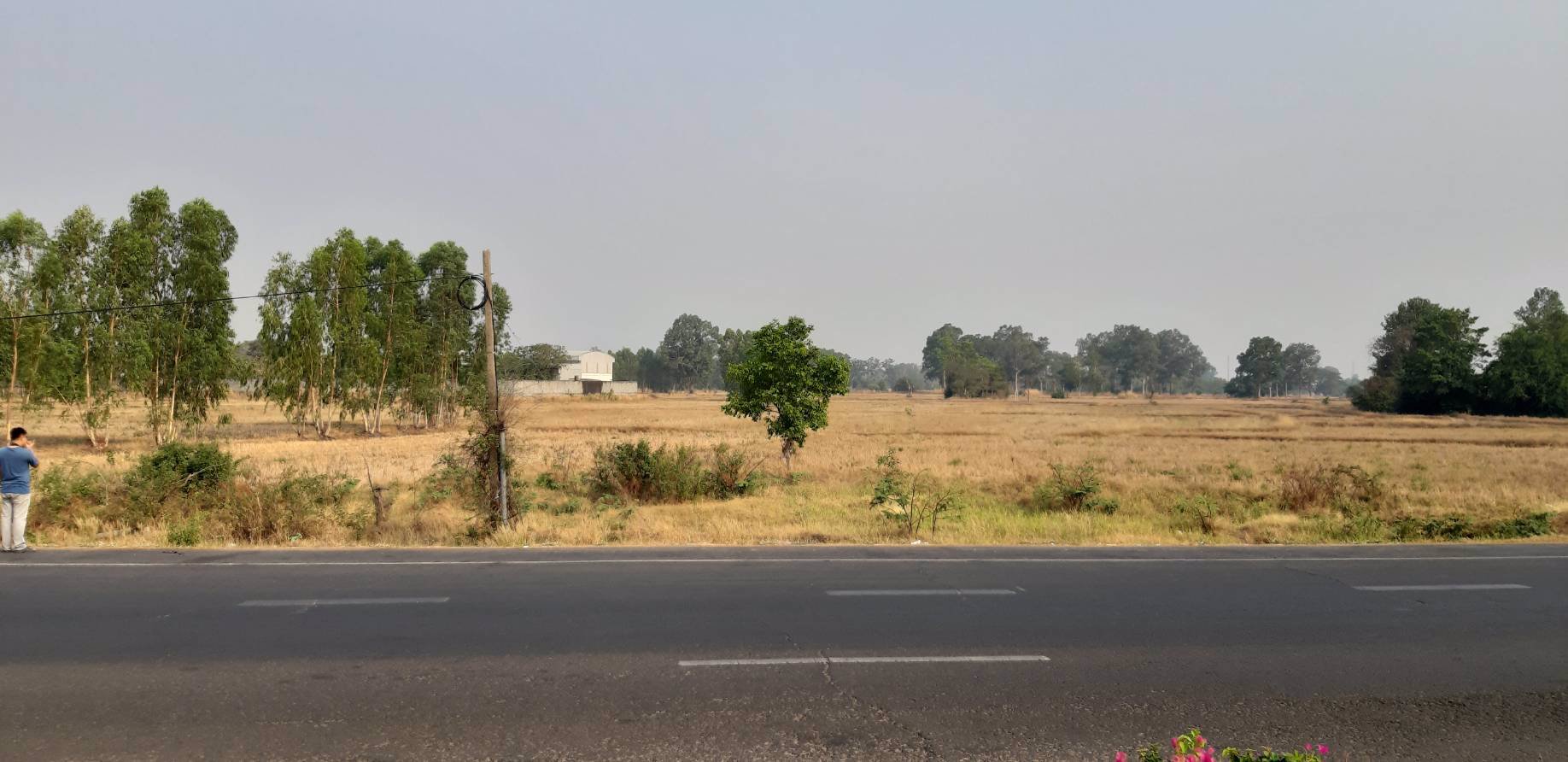 ขายที่ดิน-ติดถนนใหญ่-54-ไร่-1-งาน-61-ตรว-จังหาร-ร้อยเอ็ด