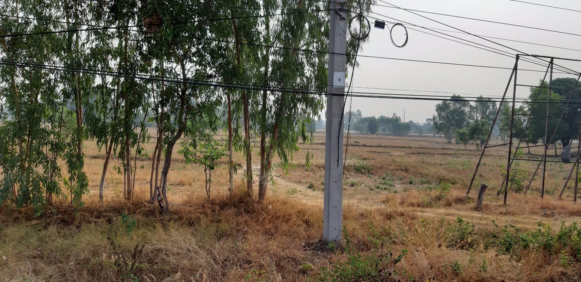 ขายที่ดิน-ติดถนนใหญ่-54-ไร่-1-งาน-61-ตรว-จังหาร-ร้อยเอ็ด