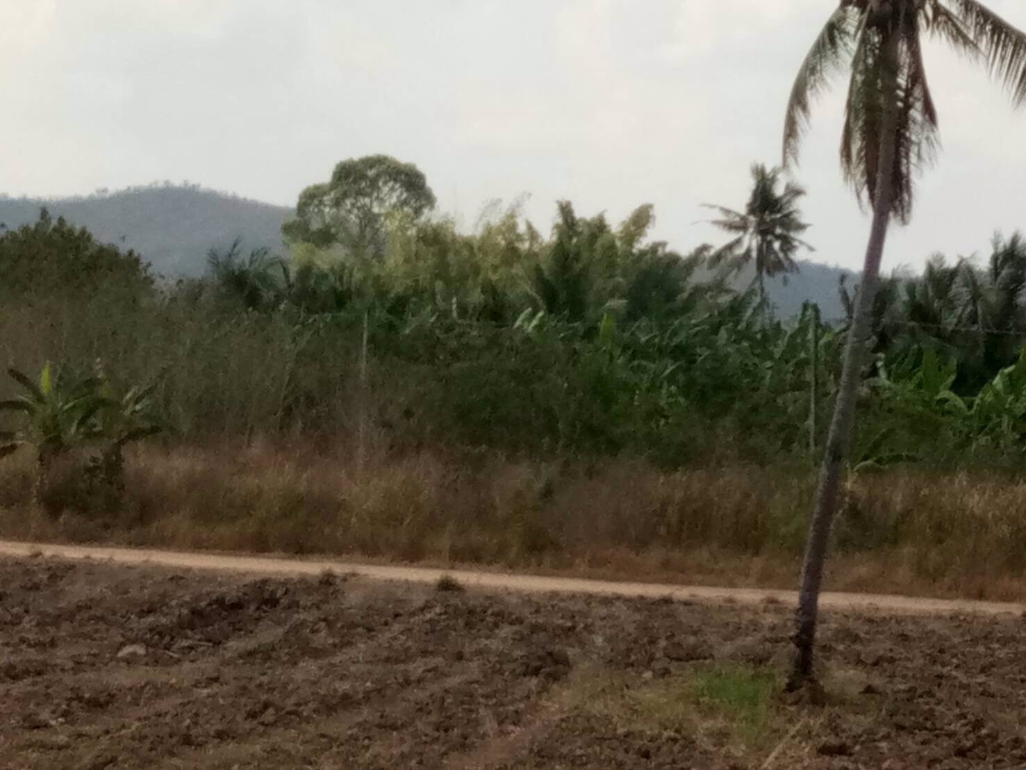 ขายที่ดิน-ติดถนนลาดยาง-ท่ายาง-เพชรบุรี