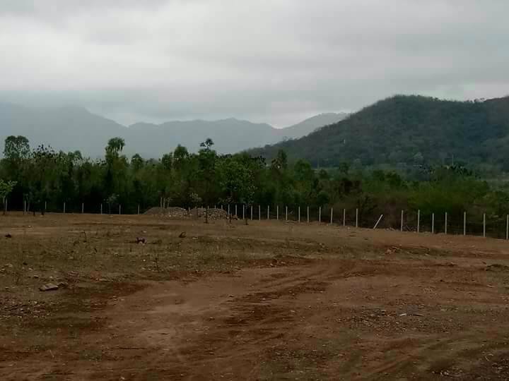 ที่ดิน-แบ่งขาย-ติดโครงการแสงจันทร์รีสอร์ท-แก่งกระจาน-เพชรบุรี-เจ้าของขายเอง