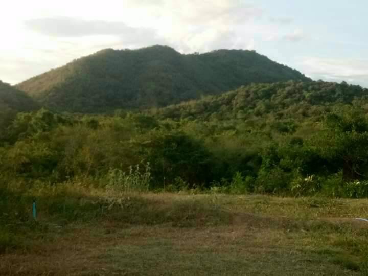 ที่ดิน-แบ่งขาย-ติดโครงการแสงจันทร์รีสอร์ท-แก่งกระจาน-เพชรบุรี-เจ้าของขายเอง