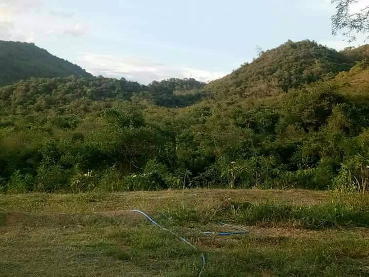 ที่ดิน-แบ่งขาย-ติดโครงการแสงจันทร์รีสอร์ท-แก่งกระจาน-เพชรบุรี-เจ้าของขายเอง