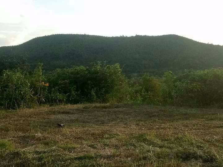 ที่ดิน-แบ่งขาย-ติดโครงการแสงจันทร์รีสอร์ท-แก่งกระจาน-เพชรบุรี-เจ้าของขายเอง