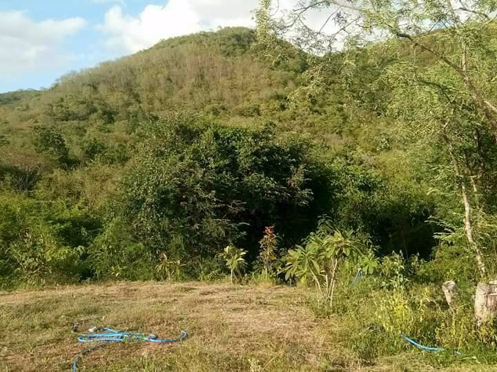 ที่ดิน-แบ่งขาย-ติดโครงการแสงจันทร์รีสอร์ท-แก่งกระจาน-เพชรบุรี-เจ้าของขายเอง