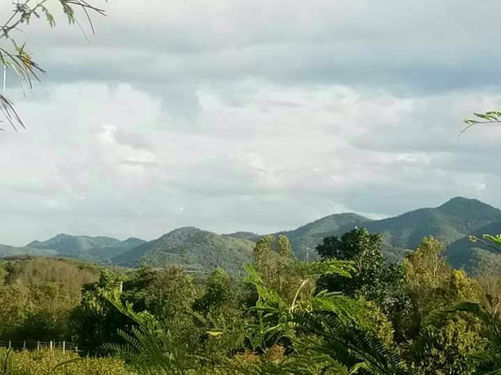 ที่ดิน-แบ่งขาย-ติดโครงการแสงจันทร์รีสอร์ท-แก่งกระจาน-เพชรบุรี-เจ้าของขายเอง