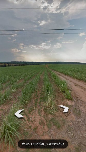 ขายที่ดิน-ภบท5-หน้ากว้างติดถนน-มีไฟฟ้าผ่าน-ครบุรี-นครราชสีมา