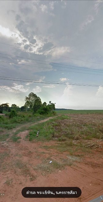 ขายที่ดิน-ภบท5-หน้ากว้างติดถนน-มีไฟฟ้าผ่าน-ครบุรี-นครราชสีมา