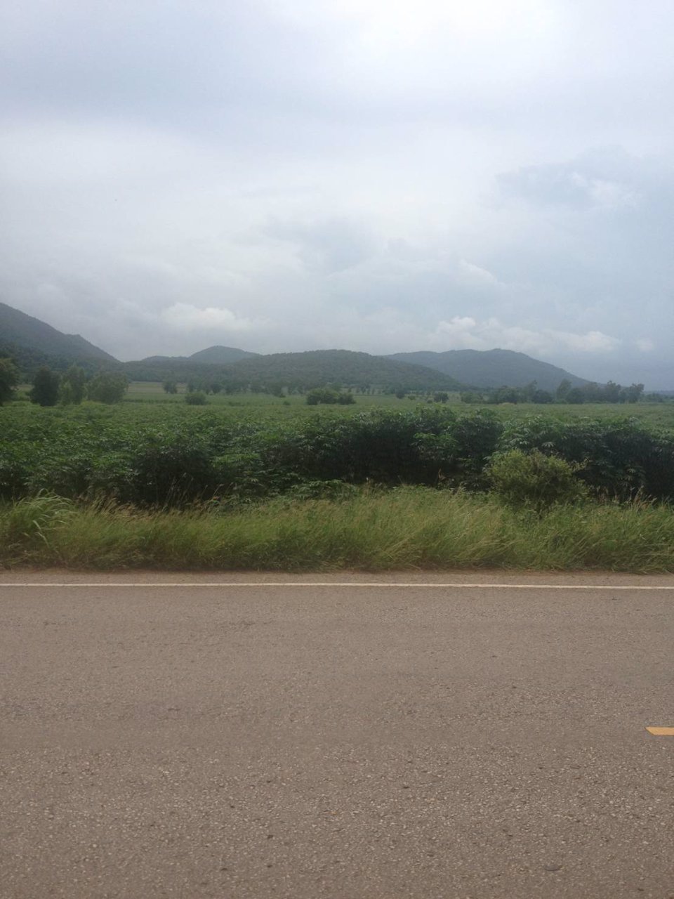 ขายที่ดิน-สวยมาก-ที่ดินติดต่อกันเป็นผืนเดียวกัน-จังหวัดลพบุรี