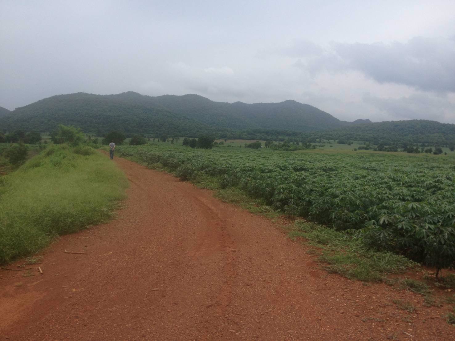 ขายที่ดิน-สวยมาก-ที่ดินติดต่อกันเป็นผืนเดียวกัน-จังหวัดลพบุรี