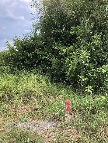 ขายที่ดิน-สวย-ทำเลดี-ติดห้างสรรพสินค้าเซ็นทรัล-นครศรีธรรมราช-