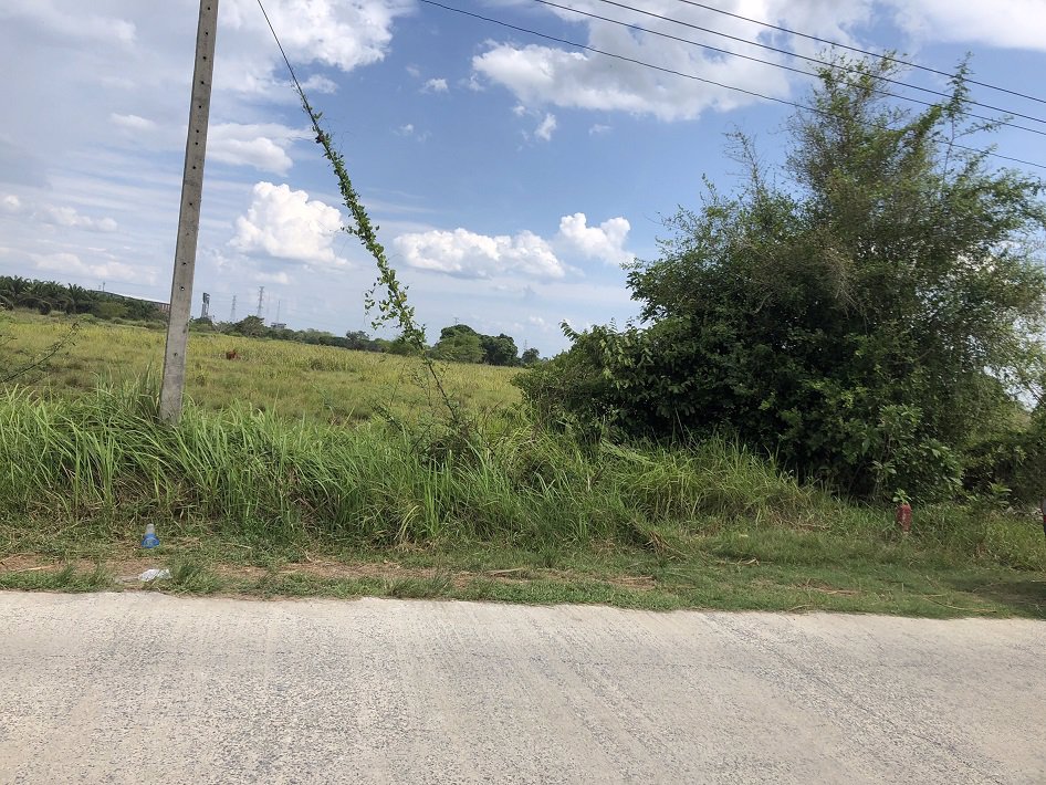 ขายที่ดิน-สวย-ทำเลดี-ติดห้างสรรพสินค้าเซ็นทรัล-นครศรีธรรมราช-