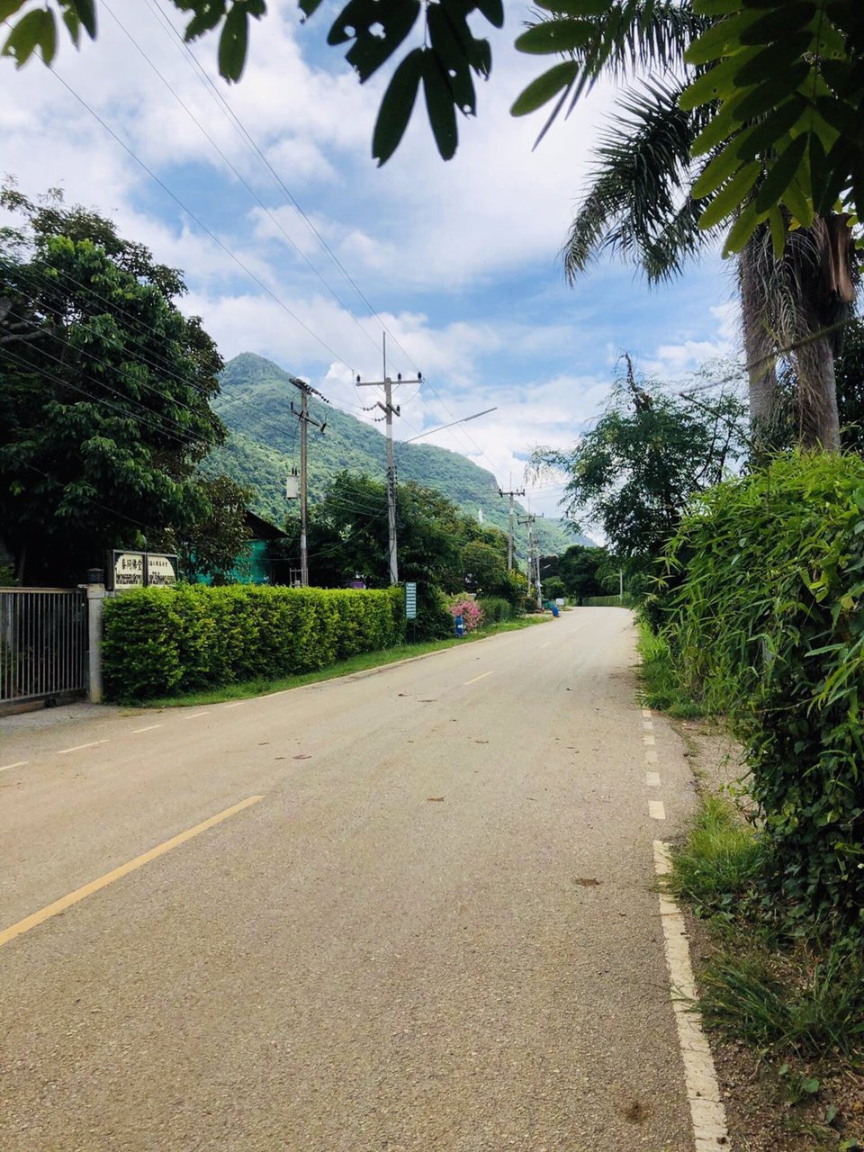 ขายที่ดินเขาใหญ่-หน้าติดถนนหลังติดเขา