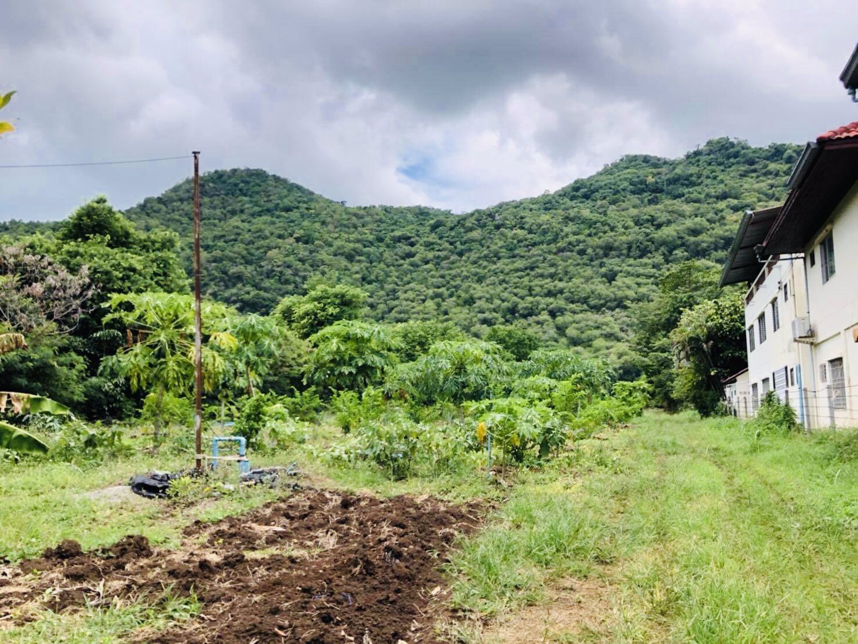 ขายที่ดินเขาใหญ่-หน้าติดถนนหลังติดเขา