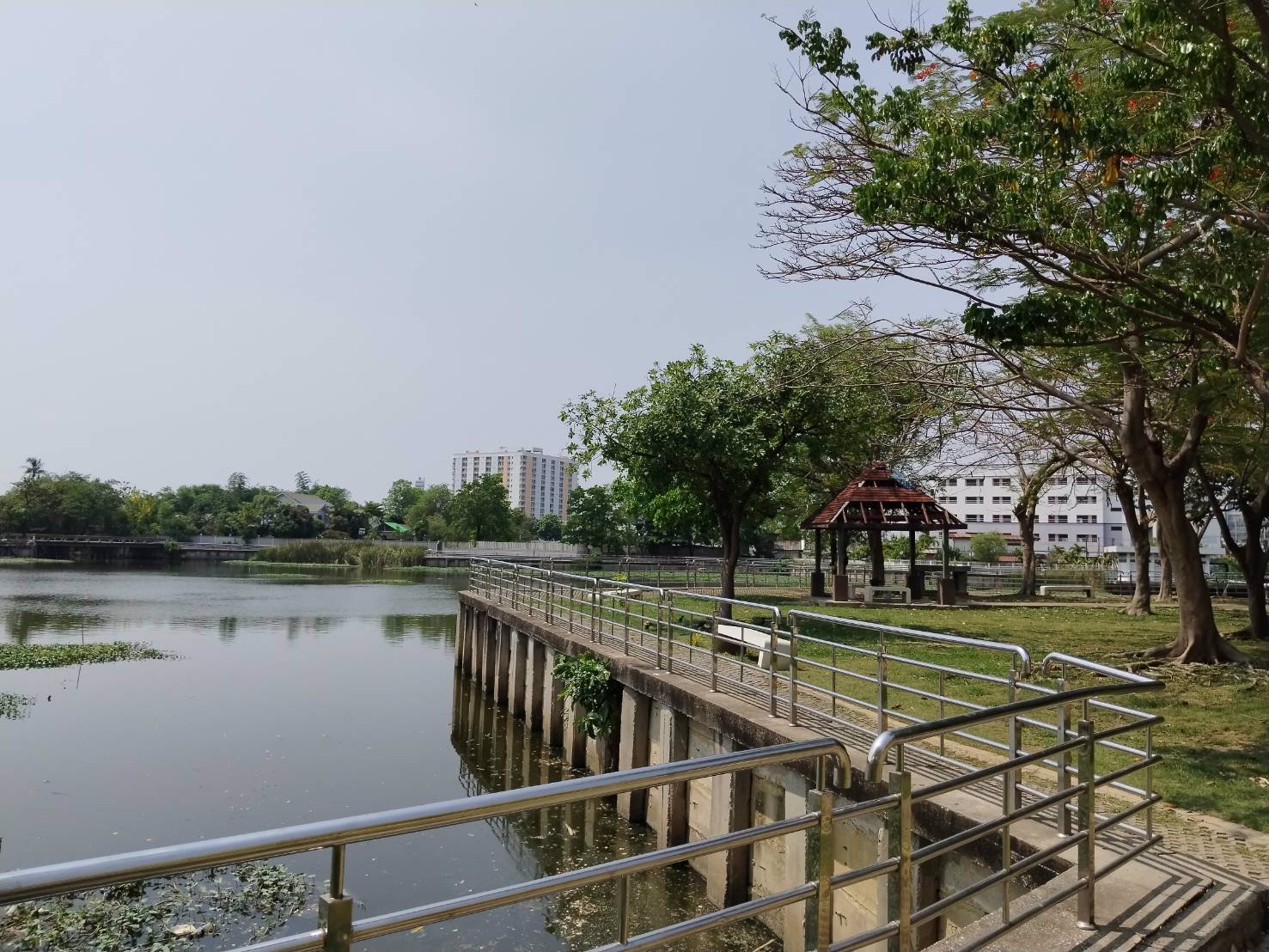 ขายอาคารพาณิชย์-กลางเมือง-นครราชสีมา