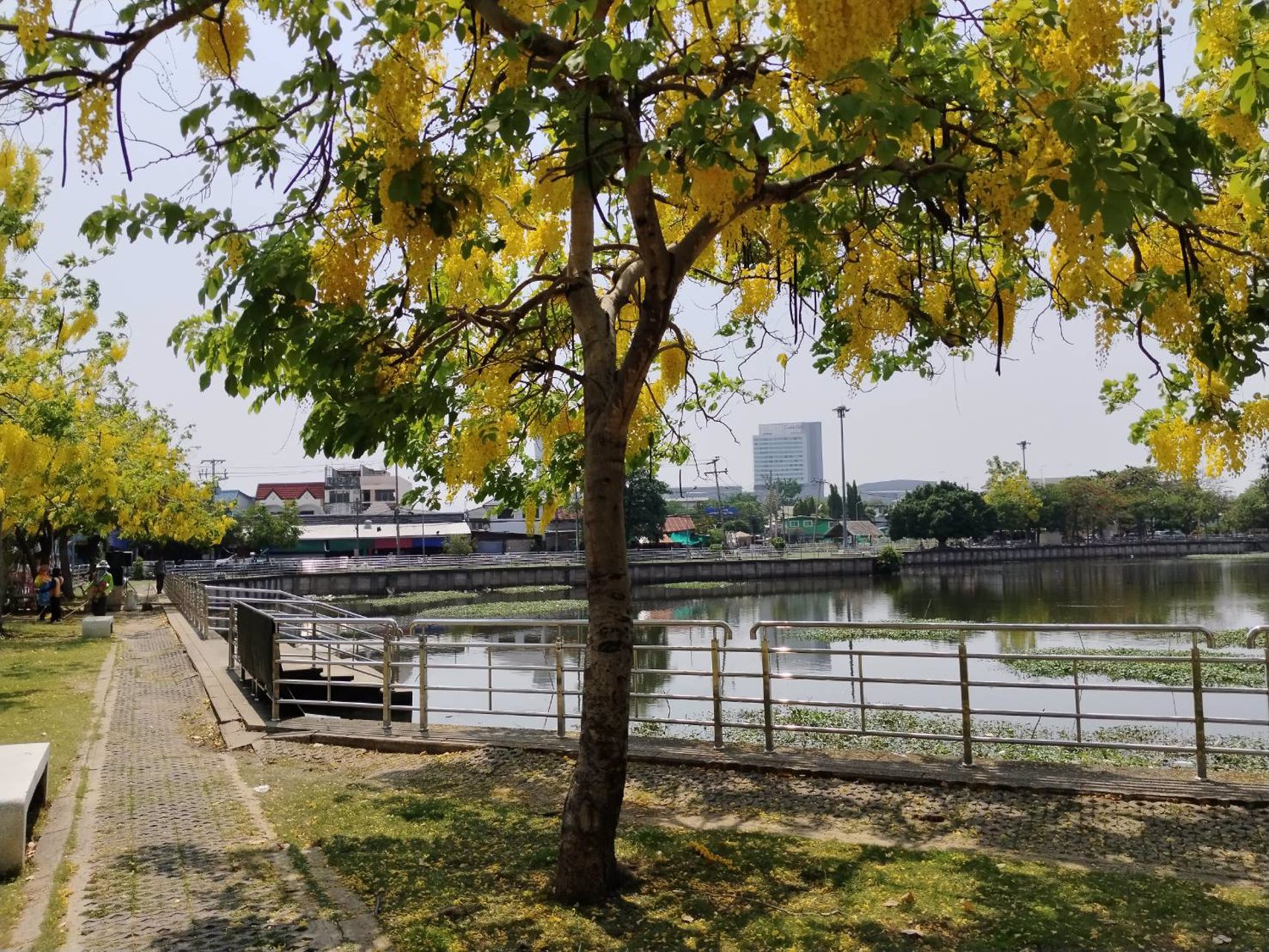 ขายอาคารพาณิชย์-กลางเมือง-นครราชสีมา