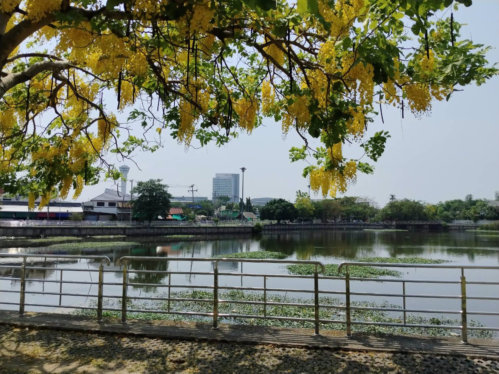 ขายอาคารพาณิชย์-กลางเมือง-นครราชสีมา