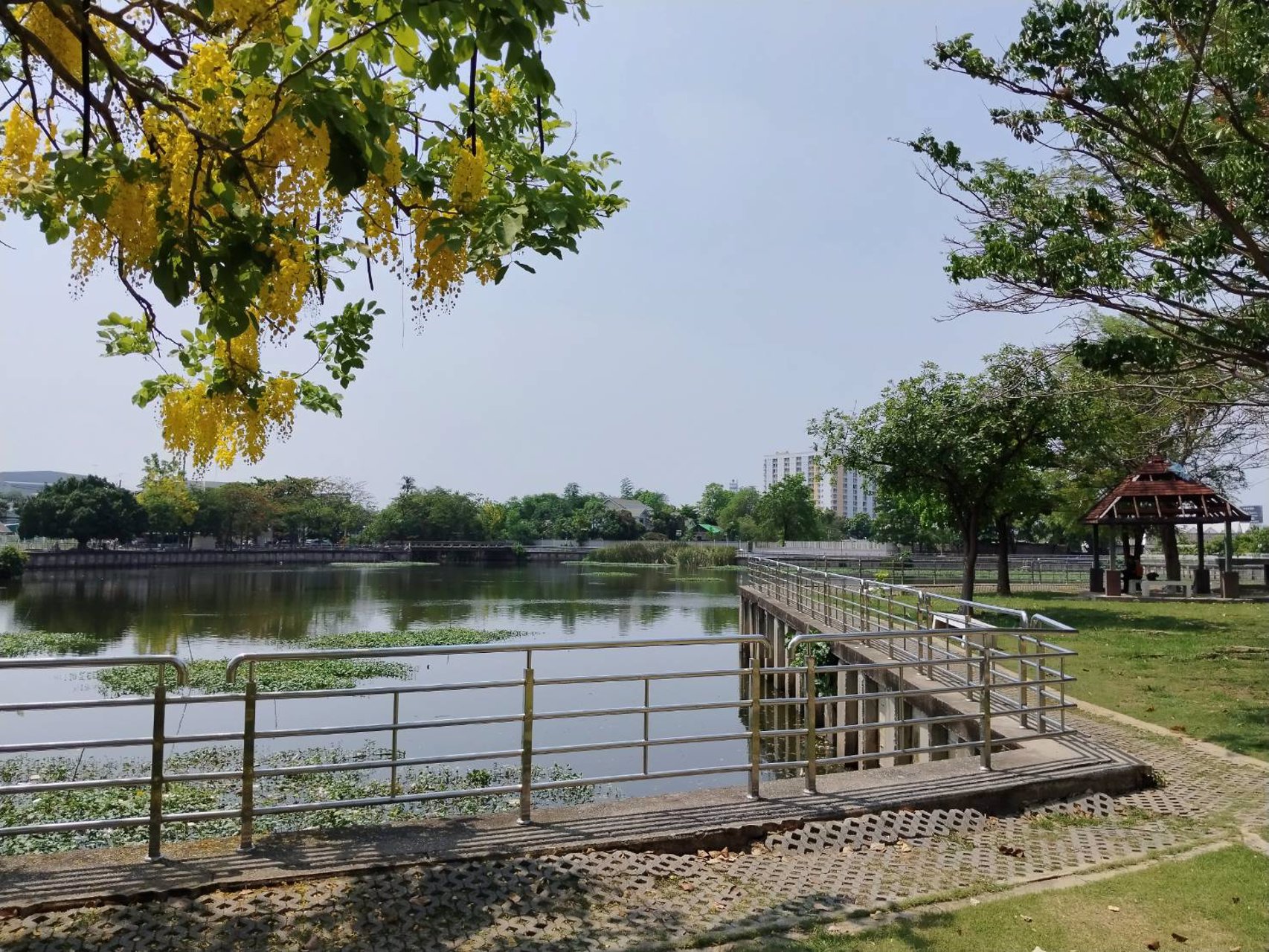 ขายอาคารพาณิชย์-กลางเมือง-นครราชสีมา